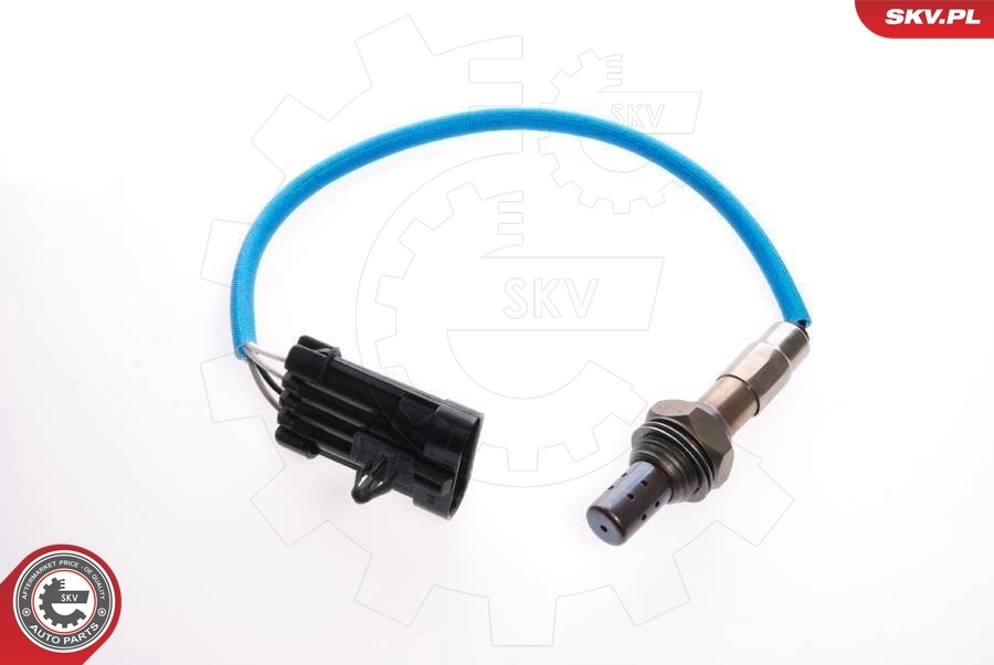 Oxygen Sensor